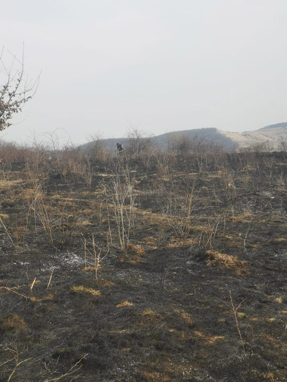 Un incendiu de vegetație s-a extins la o anexă și a pus în pericol o casă