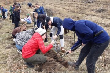 Elevi de la Școala Gimnazială nr. 4 Suceava, voluntari ai proiectului „Salvați pădurea!”