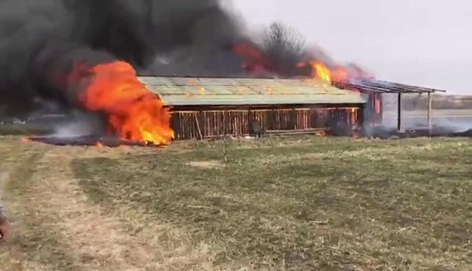 Incendiu hală lemn Horodnic