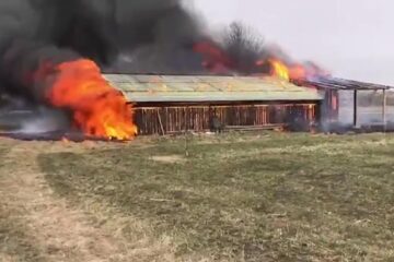 Incendiu hală lemn Horodnic
