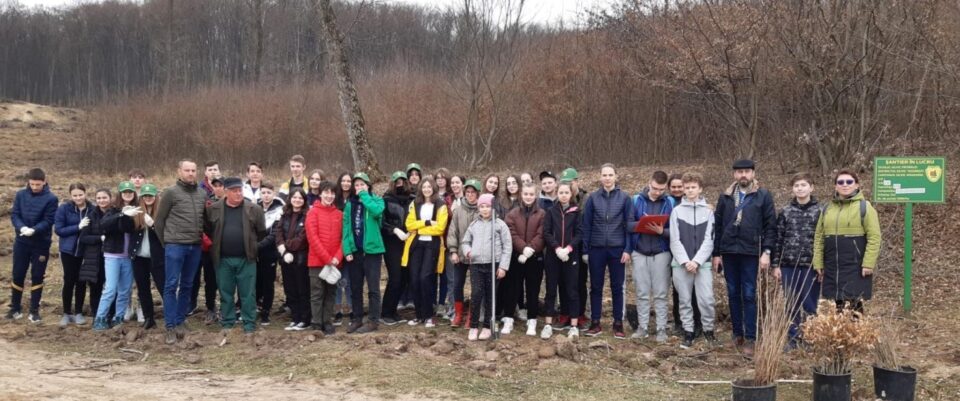Elevi de la Școala Gimnazială nr. 4 Suceava, voluntari ai proiectului „Salvați pădurea!”