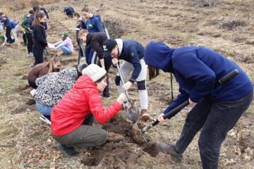 Elevi de la Școala Gimnazială Nr. 4 Suceava, voluntari ai proiectului „Salvați pădurea!”