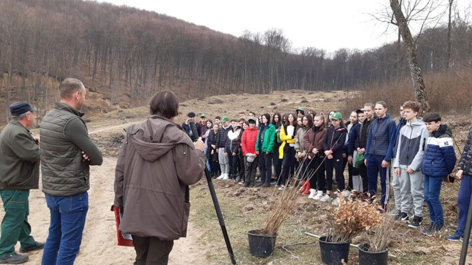 Elevi de la Școala Gimnazială Nr. 4 Suceava, voluntari ai proiectului „Salvați pădurea!”