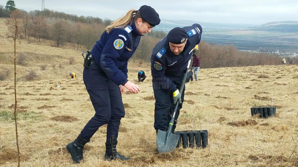 Jandarmii au plantat în curtea unității 172 de stejari, la 172 de ani de existență