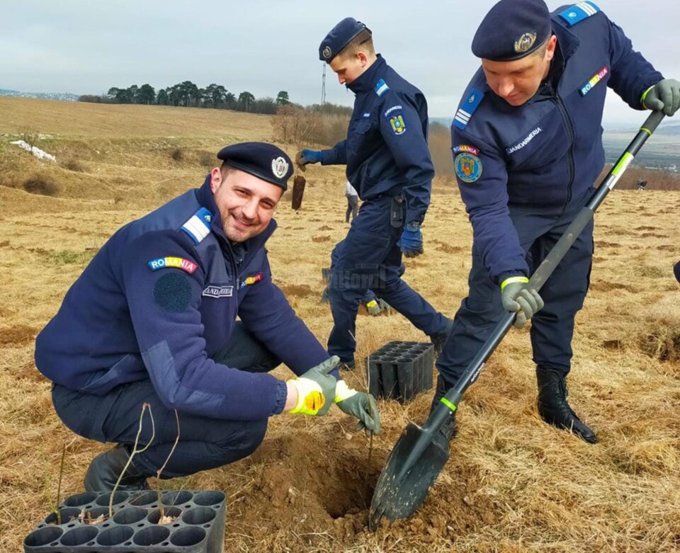 Jandarmii au plantat în curtea unității 172 de stejari, la 172 de ani de existență