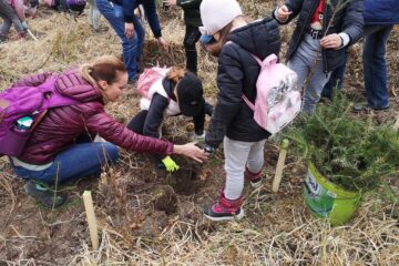 Acțiune de plantare a 3650 de puieți forestieri, cu voluntari, la Ocolul Silvic Marginea