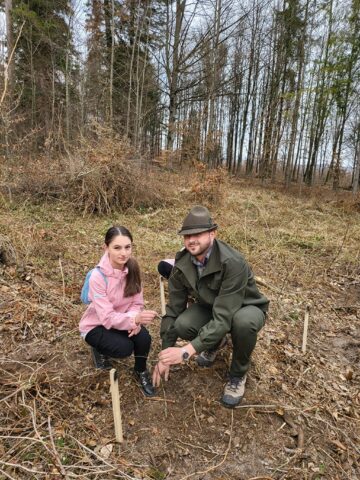 Acțiune de plantare a 3.650 de puieți forestieri, cu voluntari, la OS Marginea