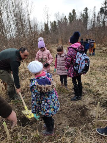 Acțiune de plantare a 3.650 de puieți forestieri, cu voluntari, la OS Marginea