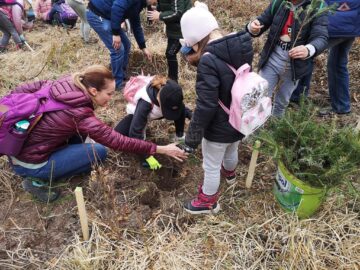 Acțiune de plantare a 3.650 de puieți forestieri, cu voluntari, la OS Marginea