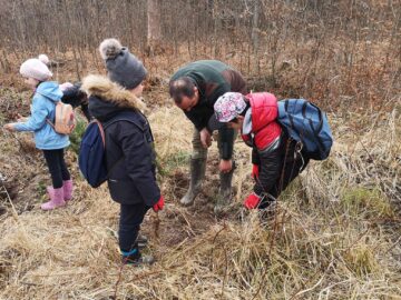 Acțiune de plantare a 3650 de puieți forestieri, cu voluntari, la Ocolul Silvic Marginea