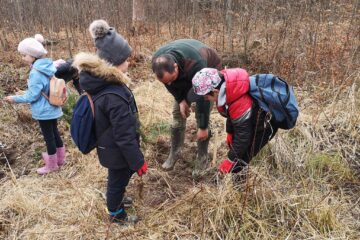 Acțiune de plantare a 3650 de puieți forestieri, cu voluntari, la Ocolul Silvic Marginea