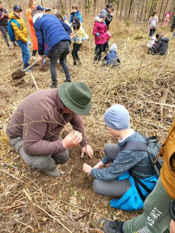 Acțiune de plantare a 3.650 de puieți forestieri, cu voluntari, la OS Marginea