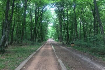 În viața noastră suntem ispitiți să credem că trebuie să fim tot timpul ocupați