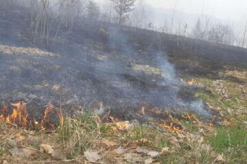 Creștere foarte mare a numărului de incendii de vegetație