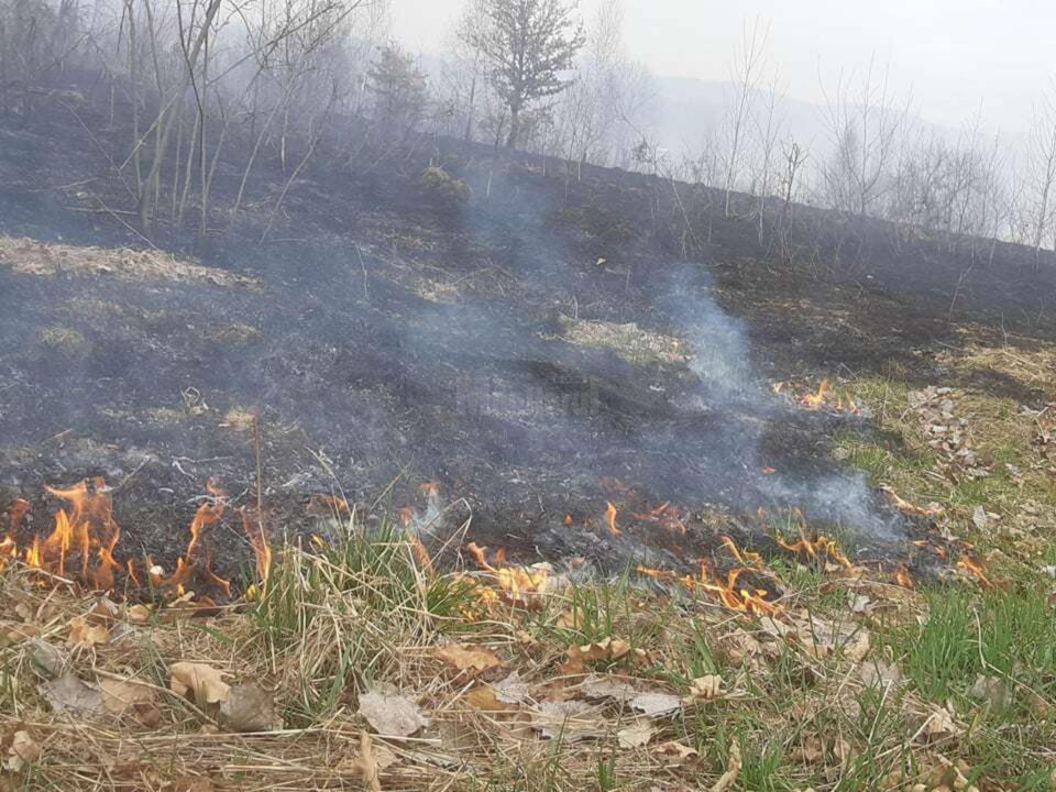 Creștere foarte mare a numărului de incendii de vegetație