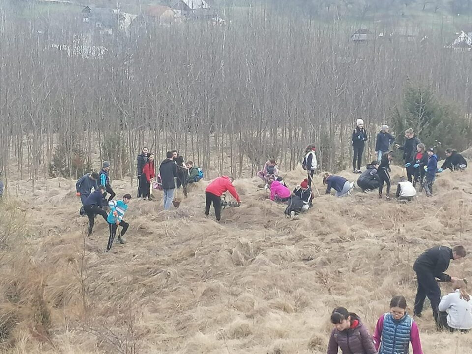 Peste 100 de elevi au luat parte la o acțiune de împădurire care a avut loc la Cacica
