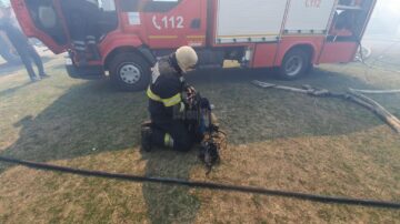 Două gospodării au fost distruse la Marginea de un puternic incendiu