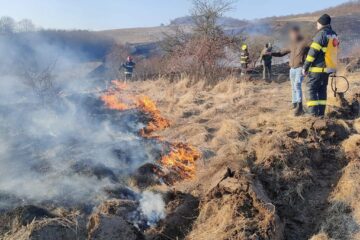Incendiu de vegetație