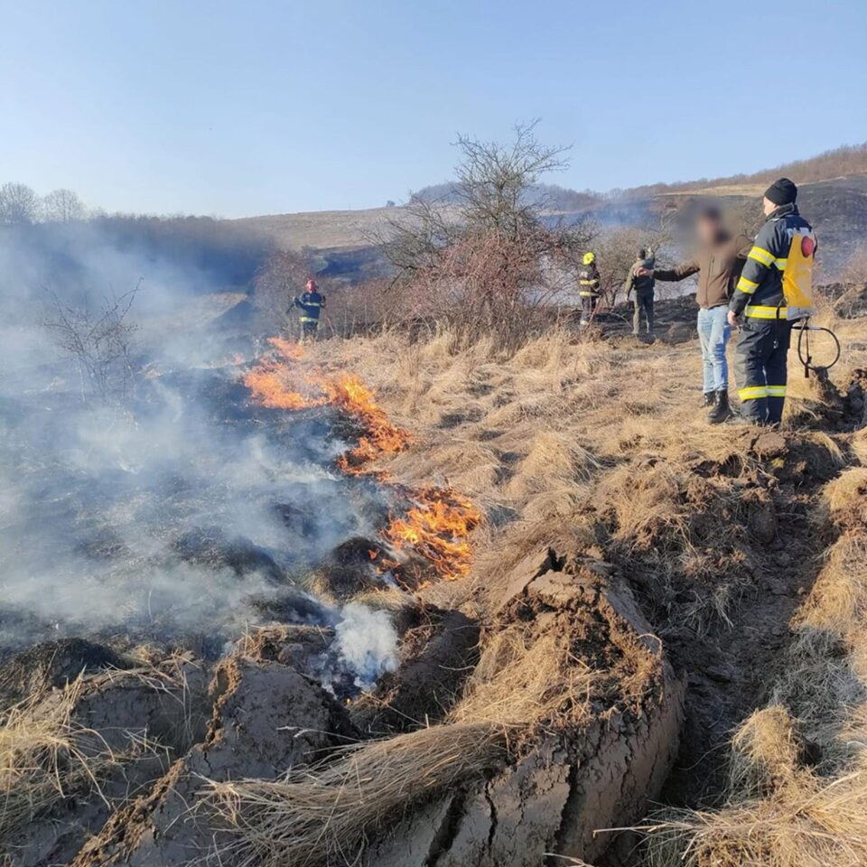 Incendiu de vegetație