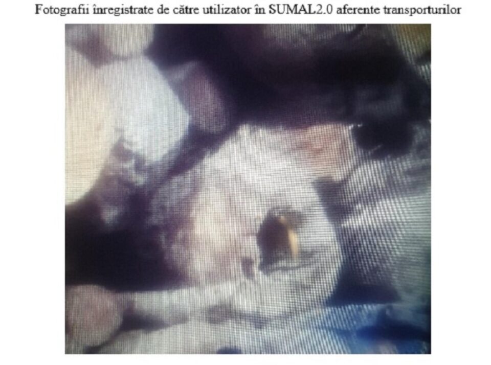 Fotografii utilizate pentru transporturi fictive