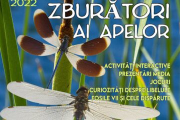 Lecția de muzeu „Dragonii zburători ai apelor - libelulele”, la Muzeul de Științele Naturii
