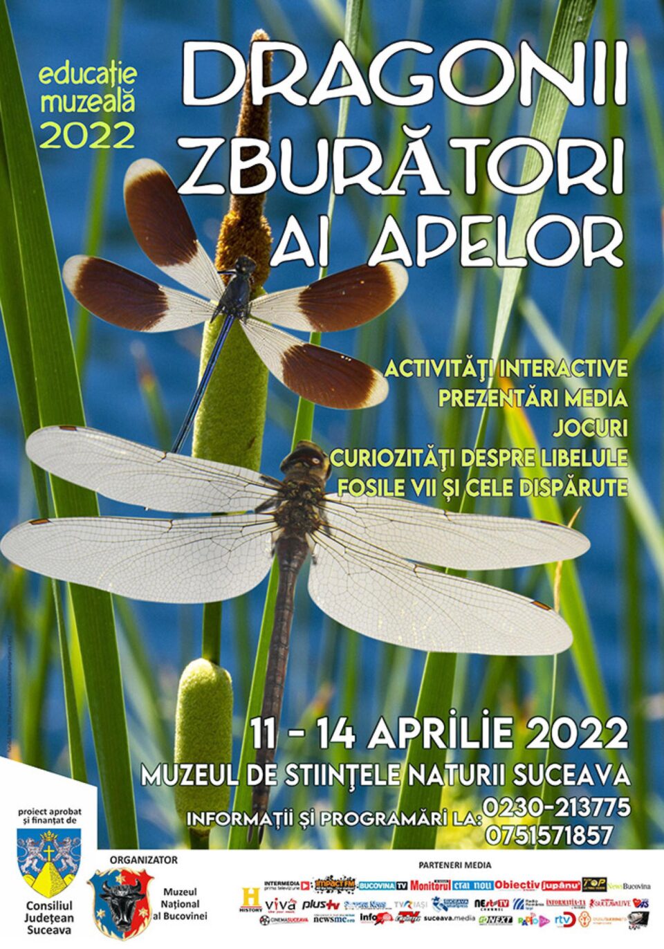 Lecția de muzeu „Dragonii zburători ai apelor - libelulele”, la Muzeul de Științele Naturii