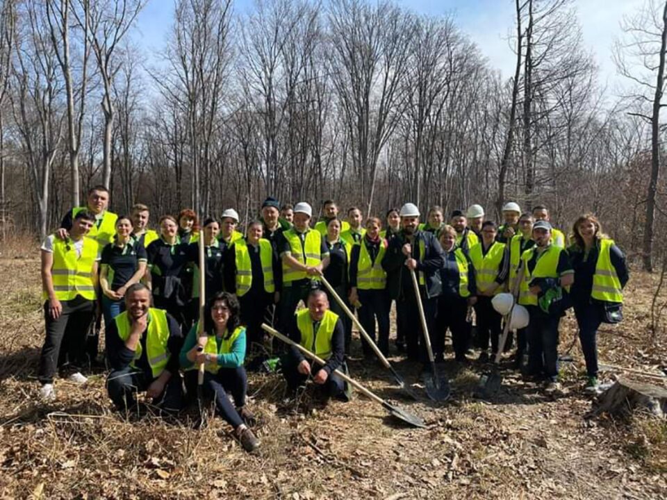 1500 de puieți de arbori, plantați la Ocolul Silvic Adâncata, cu angajații de la Leroy Merlin
