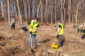 1500 de puieți de arbori, plantați la Ocolul Silvic Adâncata, cu angajații de la Leroy Merlin