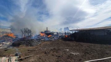 Două gospodării au fost distruse într-un incendiu, iar șase persoane au avut nevoie de îngrijiri medicale, la Marginea