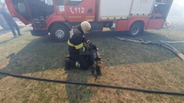 Două gospodării au fost distruse într-un incendiu, iar șase persoane au avut nevoie de îngrijiri medicale