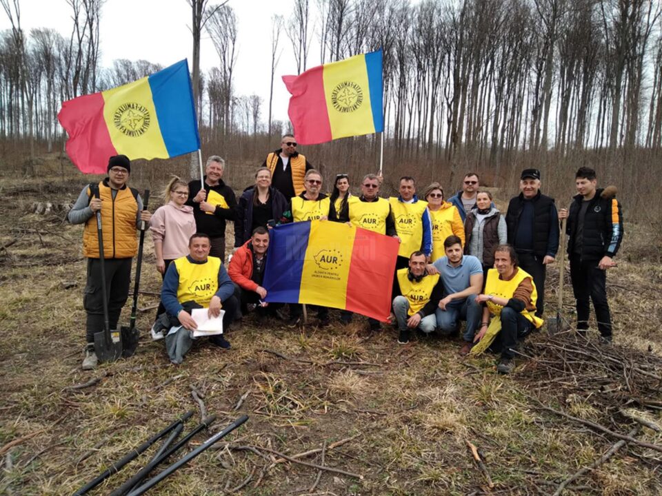 Peste 20 de membri și simpatizanți ai AUR Suceava au plantat copaci în zona Pătrăuți