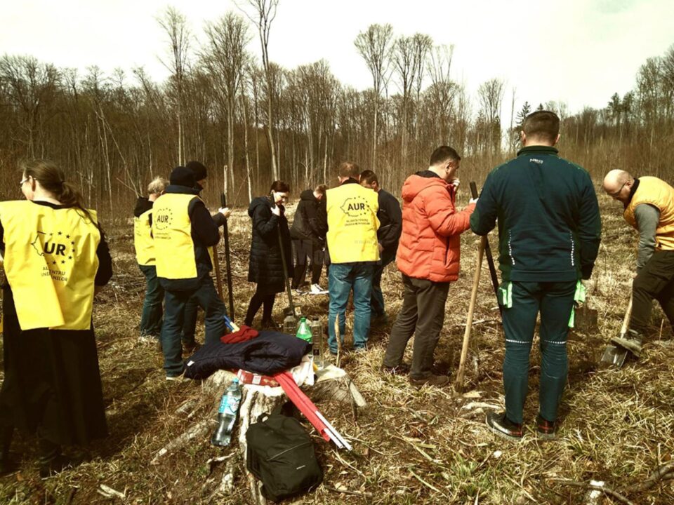 Peste 20 de membri și simpatizanți ai AUR Suceava au plantat copaci în zona Pătrăuți