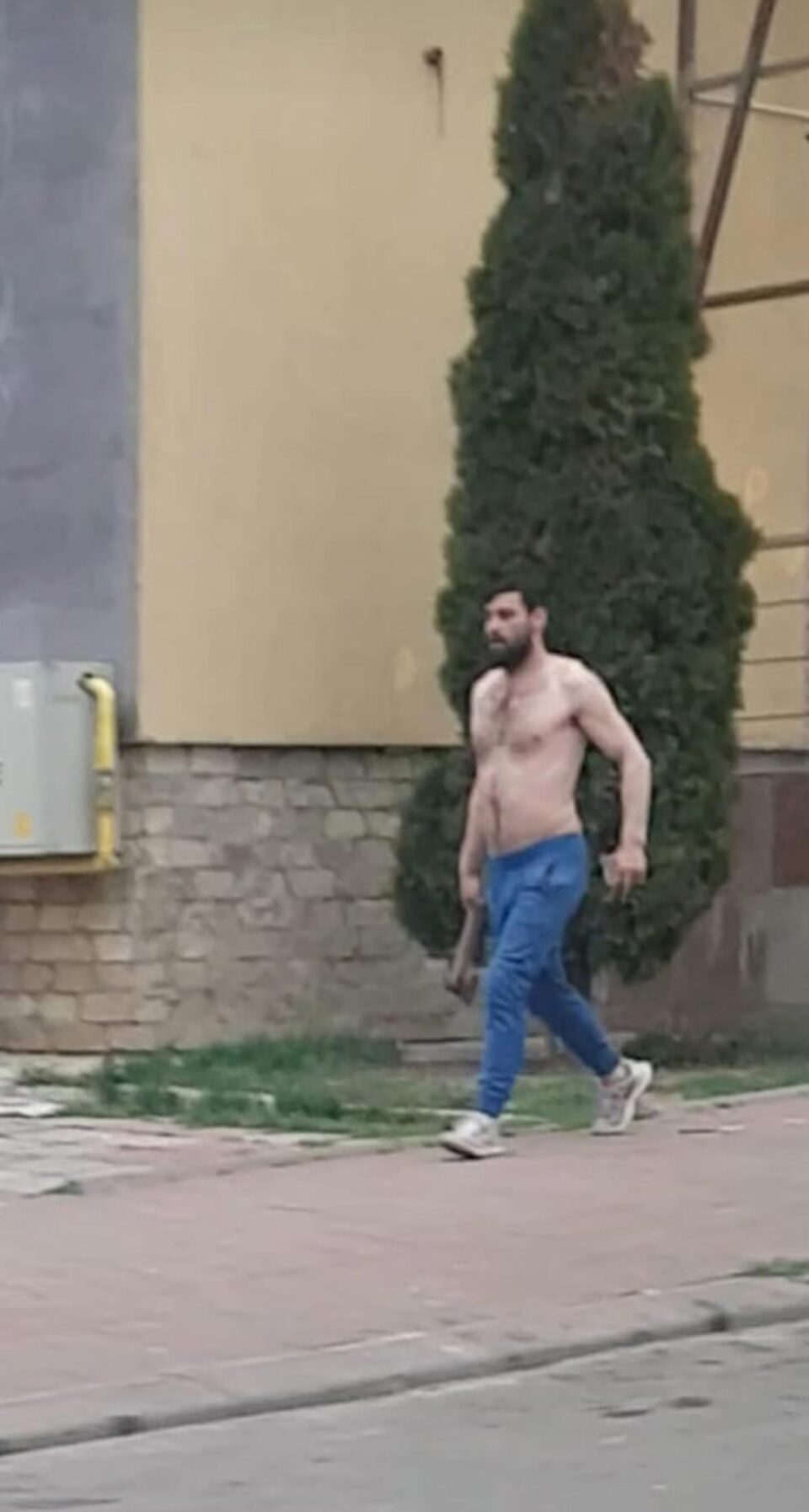 Sabian Florea, cu toporul pe stradă