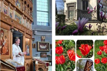 Parohia ortodoxă română „Sf. Grigorie Teologul” din Schiedam/Rotterdam