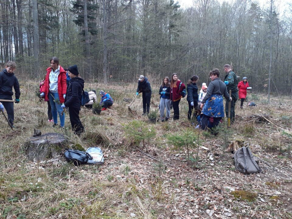 Elevii Școlii Gimnaziale Nr. 8 Suceava au participat sâmbătă la o acțiune de împădurire