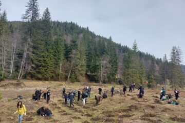 "Verde pentru planeta albastră", la Ocolul Silvic Stulpicani