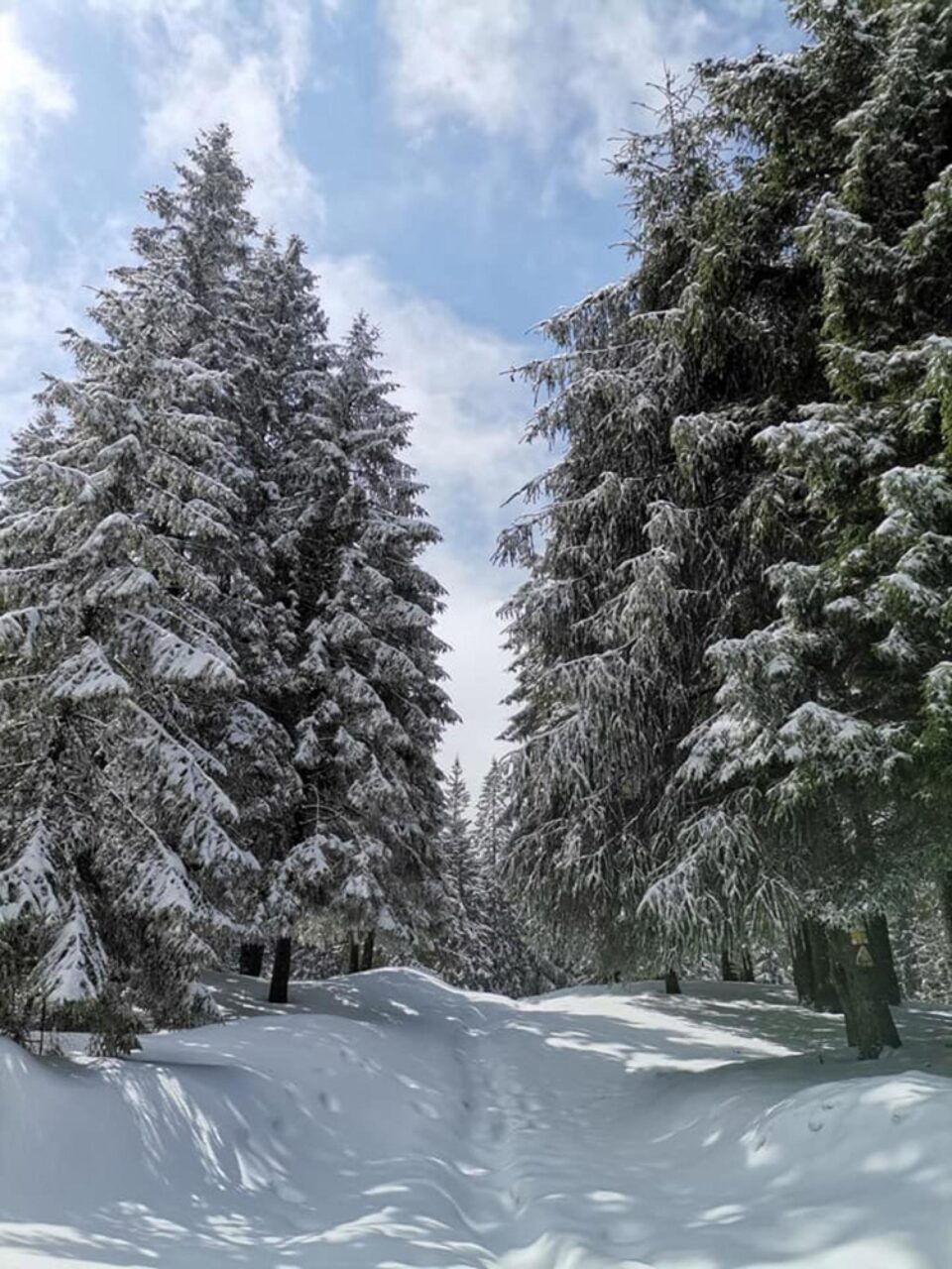 Zăpada în zonele montane are grosimi mari, chiar și de doi metri