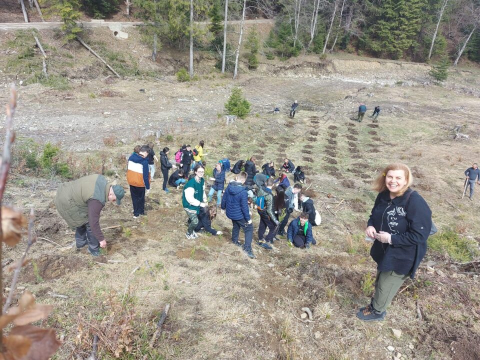 "Verde pentru planeta albastră", la Ocolul Silvic Stulpicani