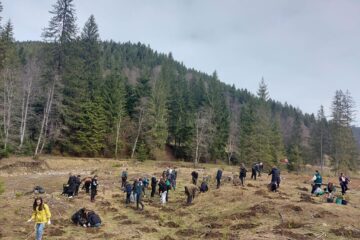 Acțiunea „Verde pentru planeta albastră”, desfășurată la OS Stulpicani