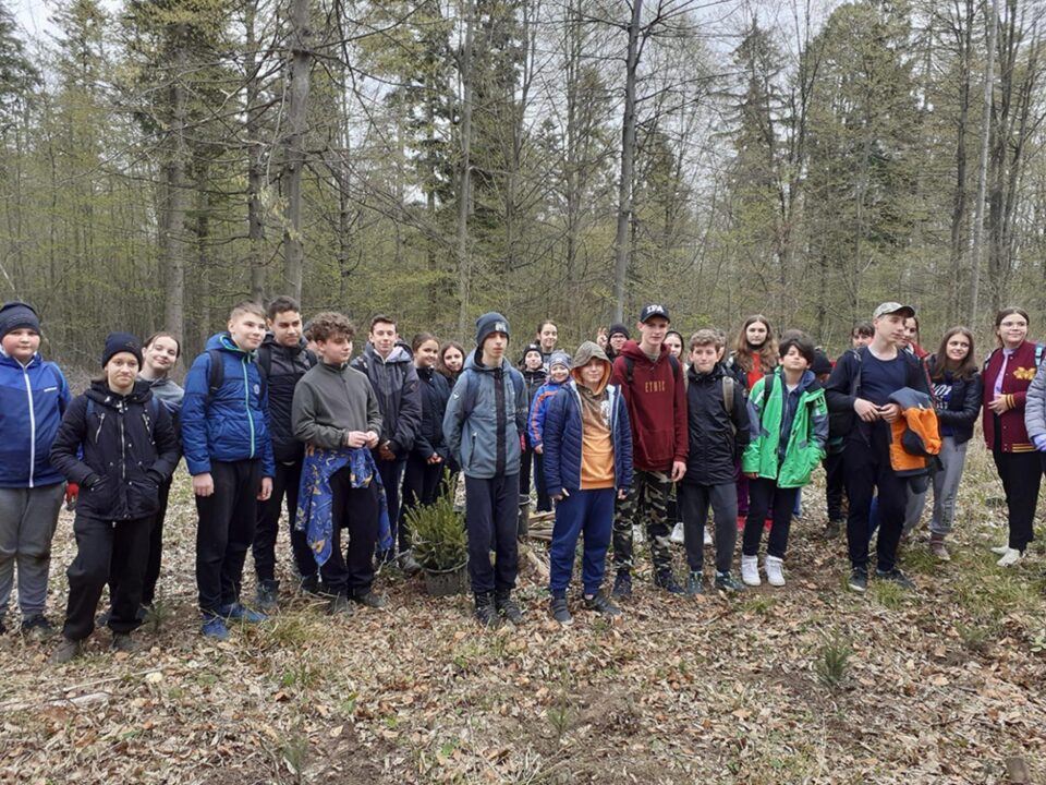 Elevii Școlii Gimnaziale Nr. 8 Suceava au participat sâmbătă la o acțiune de împădurire