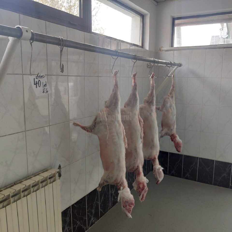 Miei de Paște, la vânzare marți în Piața Mare a Sucevei Miei de Paște, la vânzare marți în Piața Mare a Sucevei