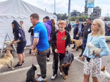 Bucovina Dog Show 2022 s-a desfasurat pe parcursul a două zile - 30 aprilie si 1 mai 8