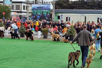 Bucovina Dog Show 2022 s-a desfasurat pe parcursul a două zile - 30 aprilie si 1 mai