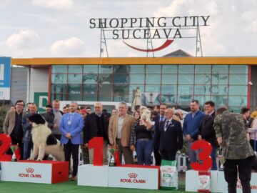 Bucovina Dog Show a revenit în parcarea Shopping City Suceava, după doi ani de pandemie, cu competiții chinologice organizate pe parcursul a două zile – 30 aprilie și 1 mai 3