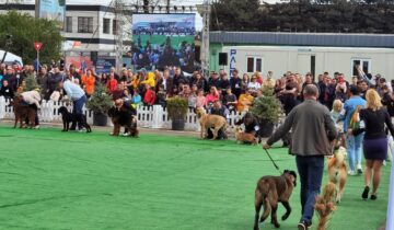 Bucovina Dog Show a revenit în parcarea Shopping City Suceava, după doi ani de pandemie, cu competiții chinologice organizate pe parcursul a două zile – 30 aprilie și 1 mai 3