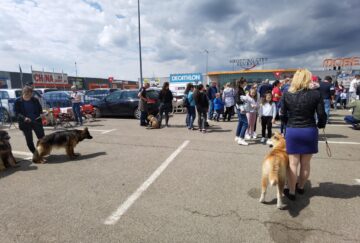 Bucovina Dog Show a revenit în parcarea Shopping City Suceava, după doi ani de pandemie, cu competiții chinologice organizate pe parcursul a două zile – 30 aprilie și 1 mai 3