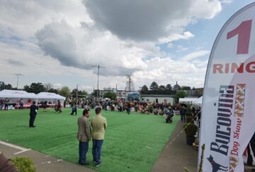 Bucovina Dog Show a revenit în parcarea Shopping City Suceava, după doi ani de pandemie, cu competiții chinologice organizate pe parcursul a două zile – 30 aprilie și 1 mai 3