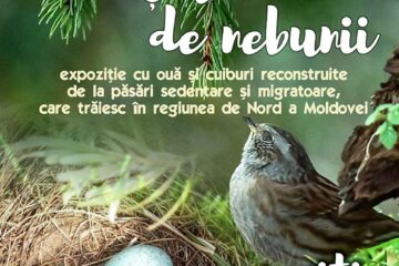 Expoziția itinerantă „Cuibușor de nebunii” ajunge la Muzeul Cinegetic al Ținutului Secuiesc