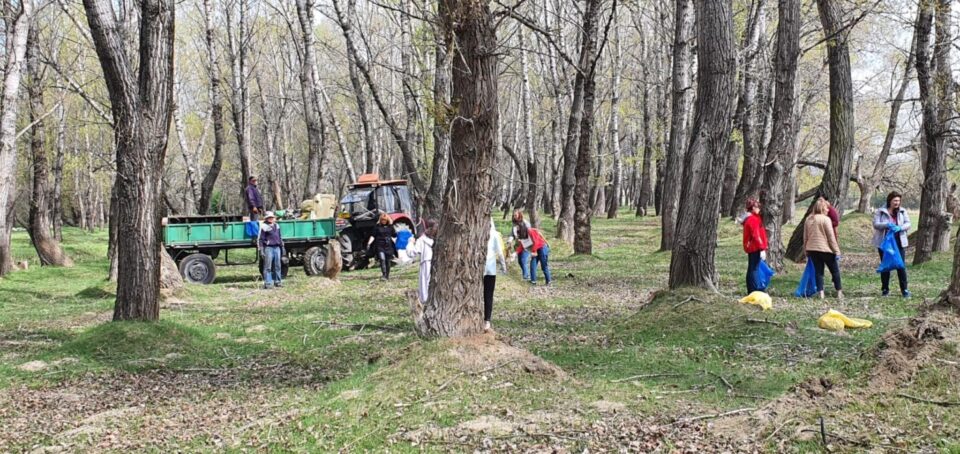 Acțiune de ecologizare pe malul râului Suceava, cu 5000 de kg de deșeuri adunate într-o singură zi