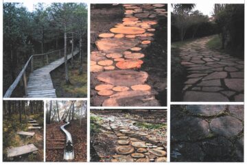 Primele propuneri de amenajare a Parcului Șipote, prezentate de echipa de specialiști contractată de Primăria Suceava